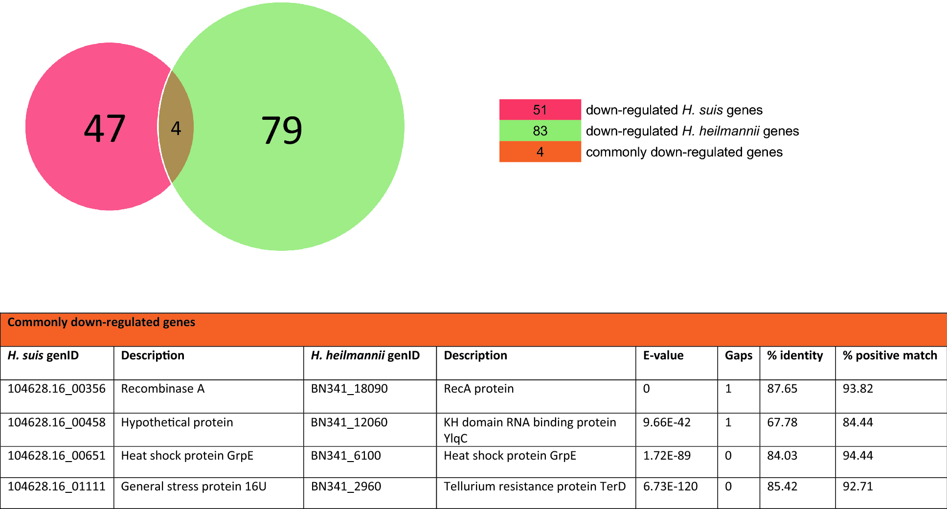 Figure 4