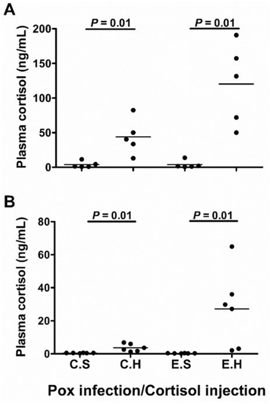 Figure 6