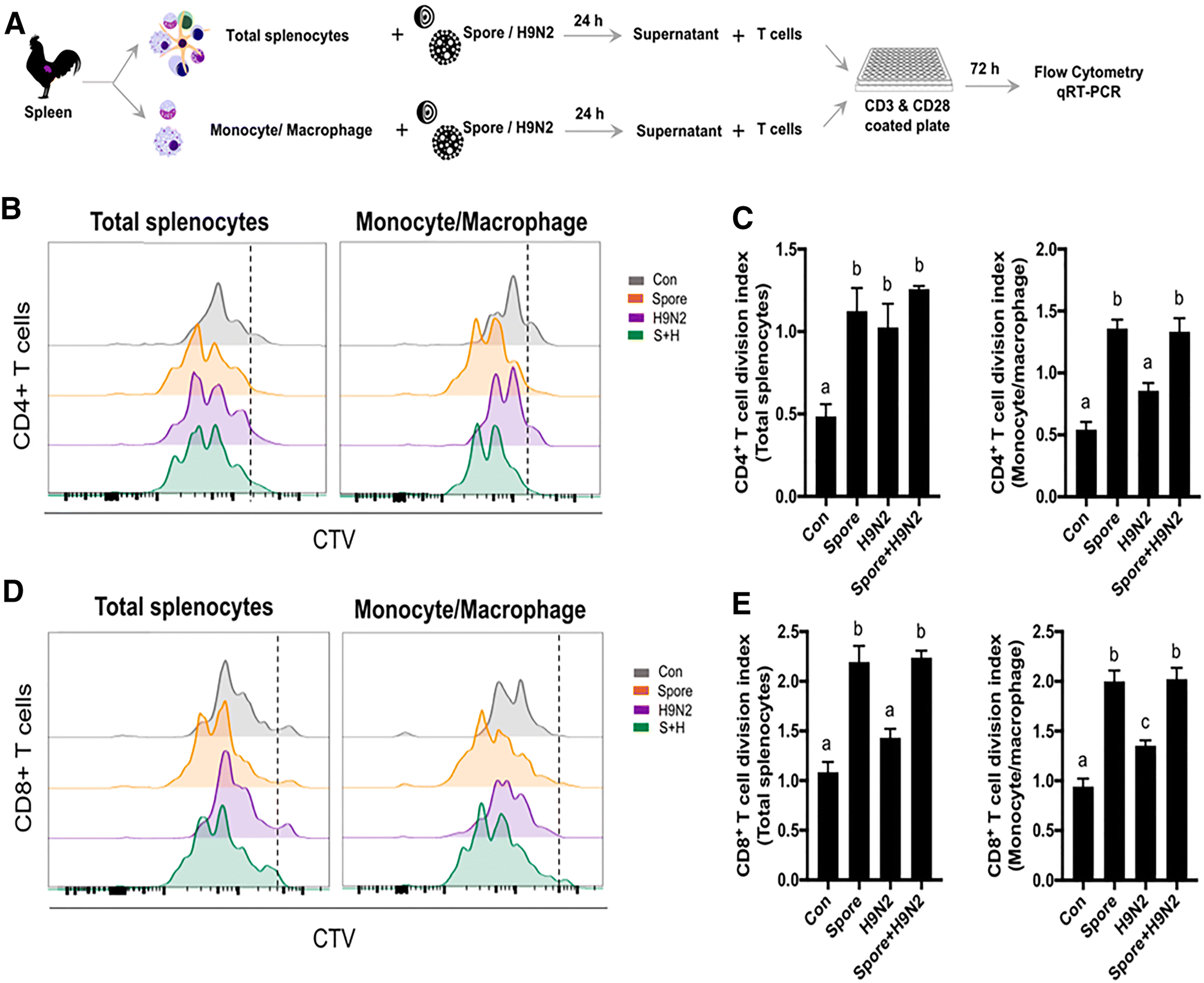 Figure 4