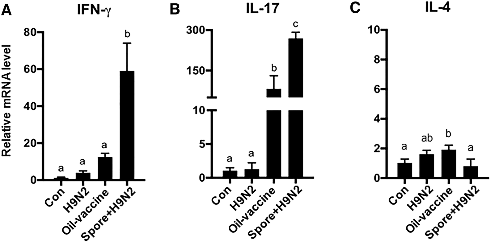 Figure 6