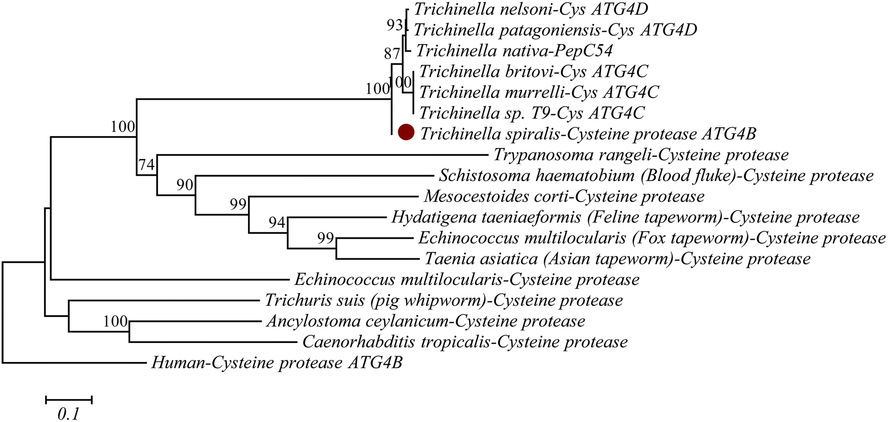 Figure 1