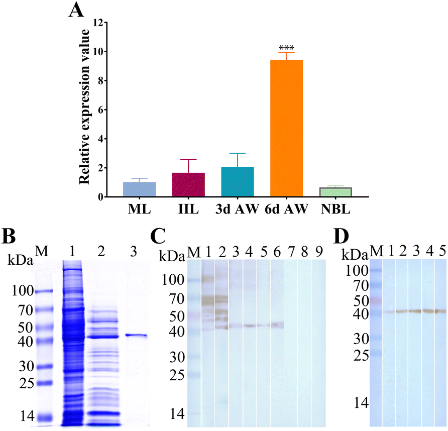 Figure 3