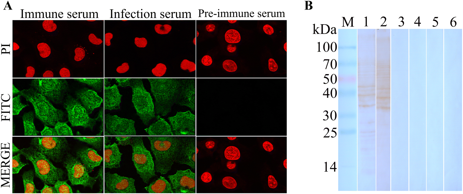 Figure 6