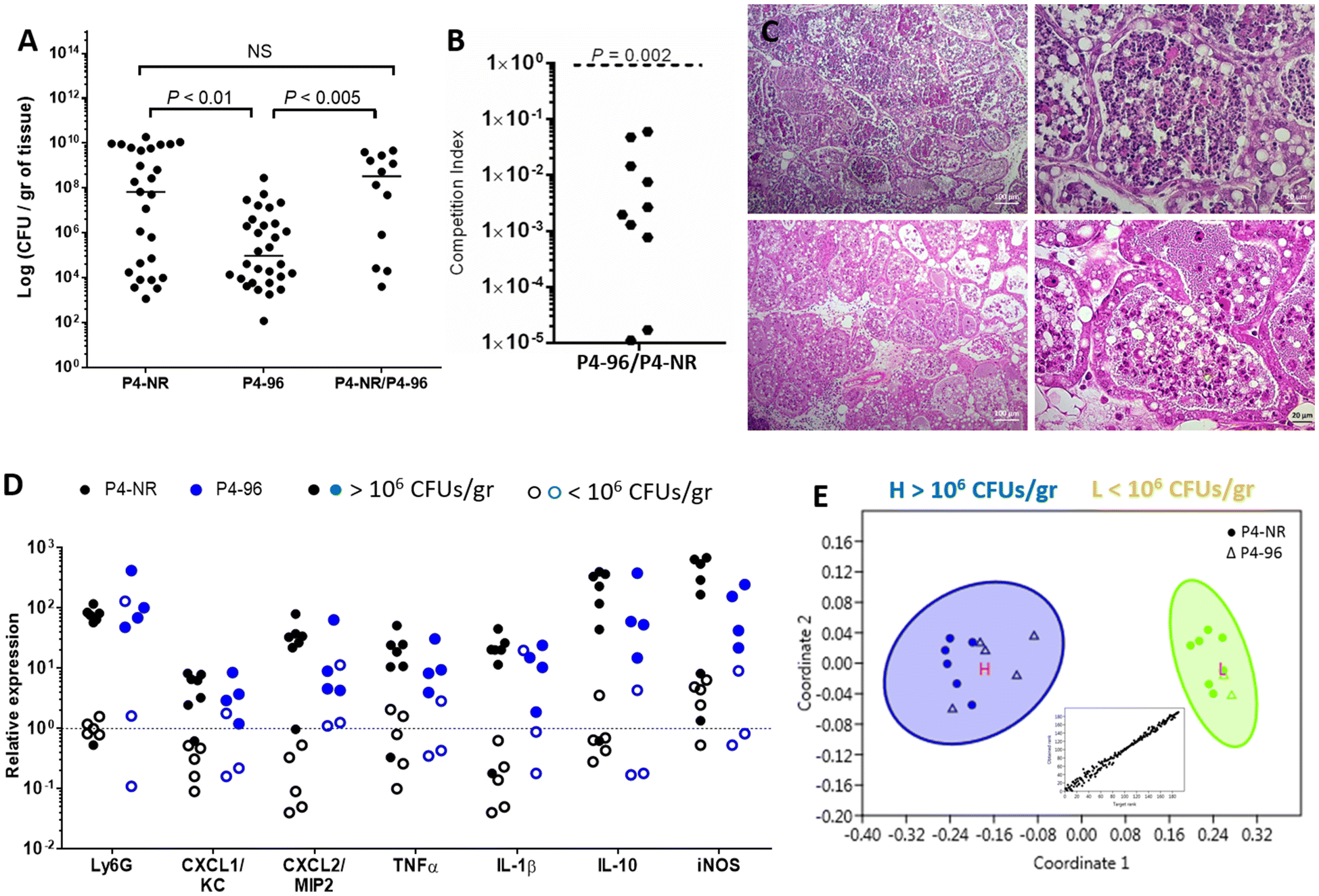 Figure 2