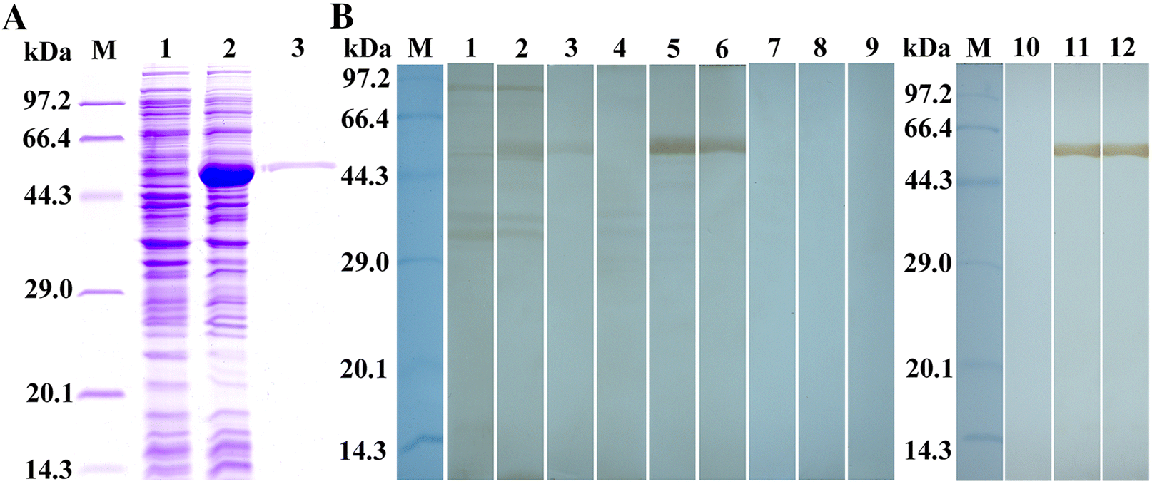 Figure 2