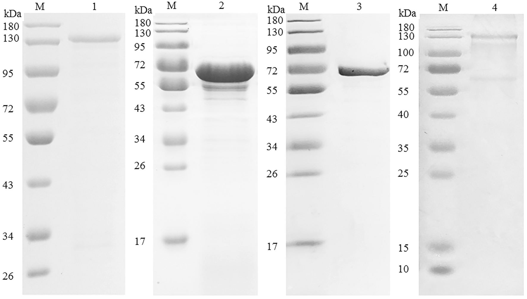 Figure  1