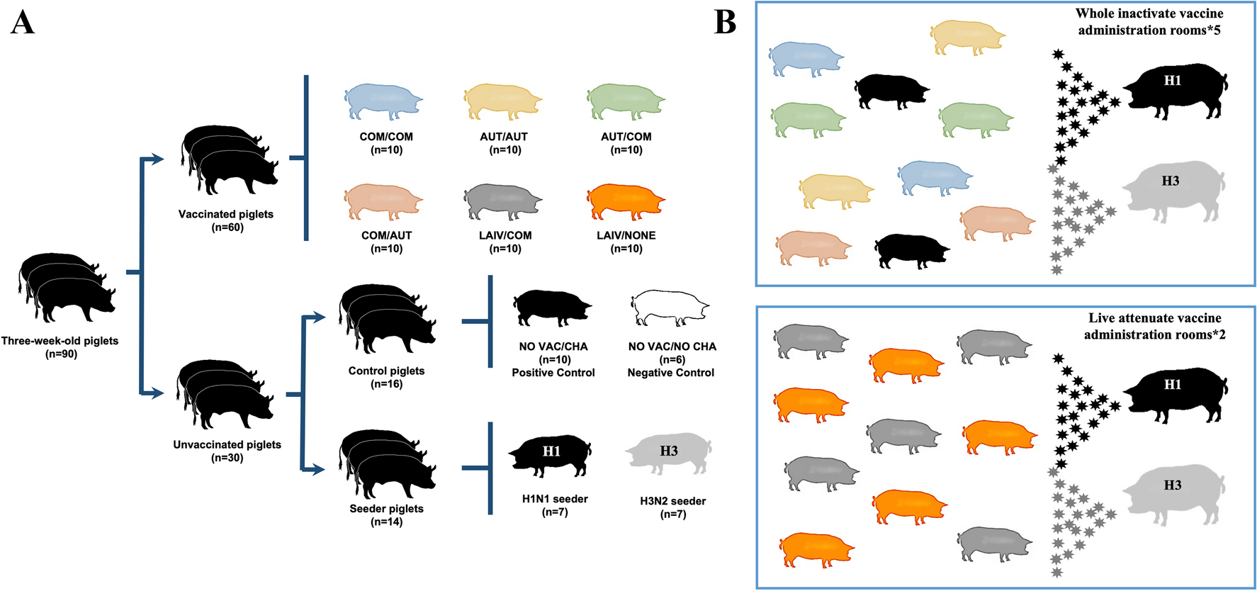 Figure 1