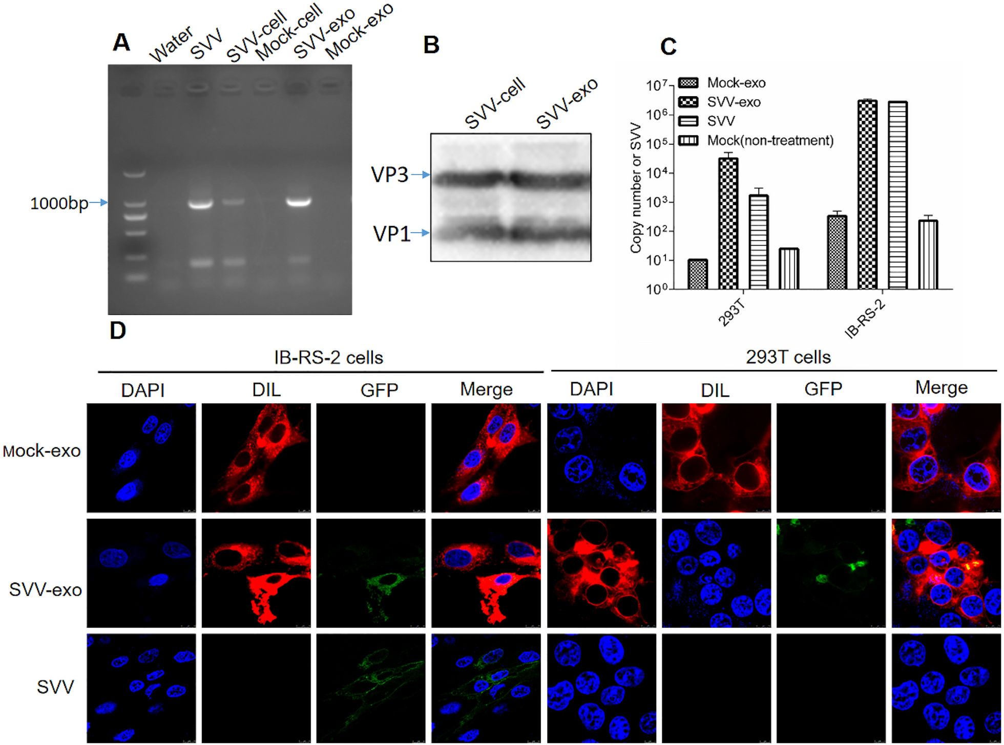 Figure 2