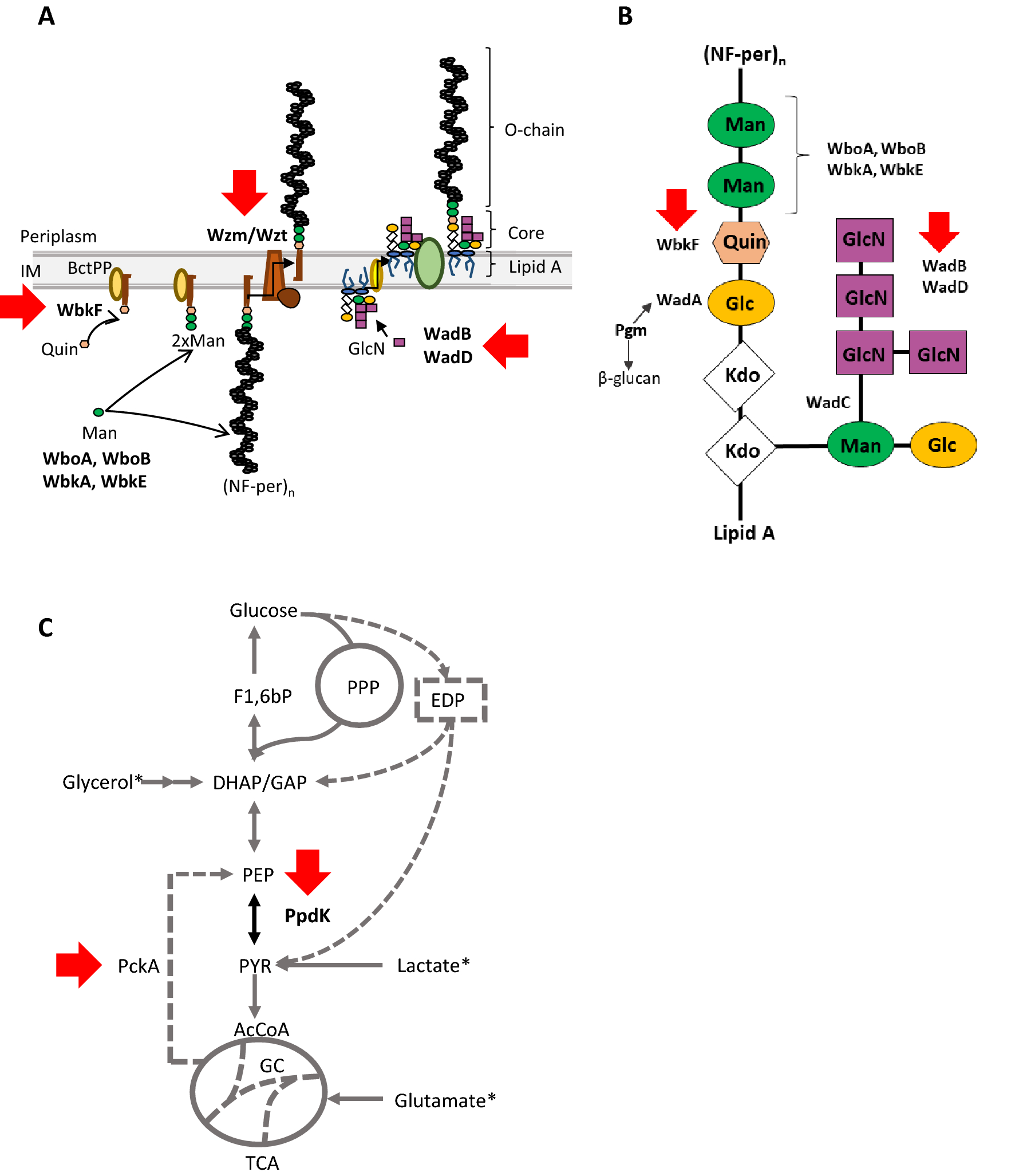 Figure 1