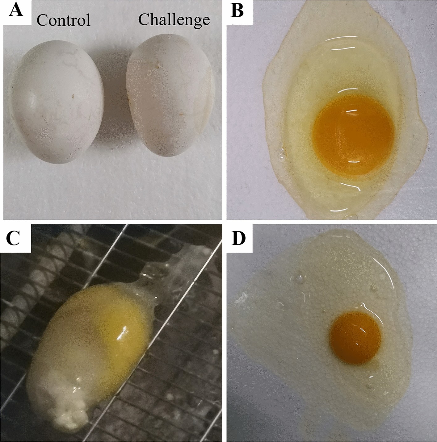 Figure 2