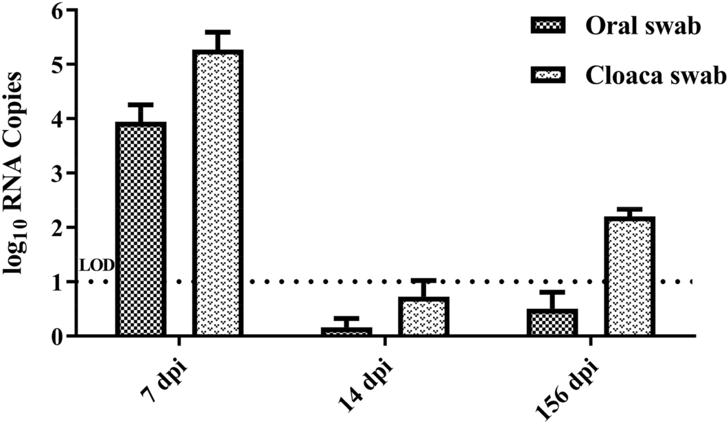 Figure 4