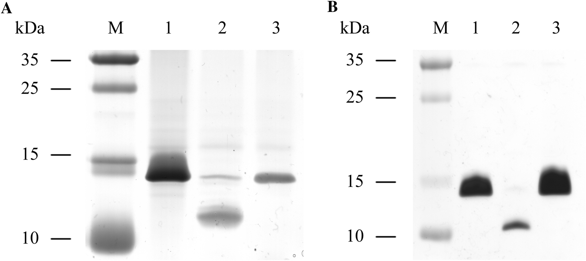 Figure 2