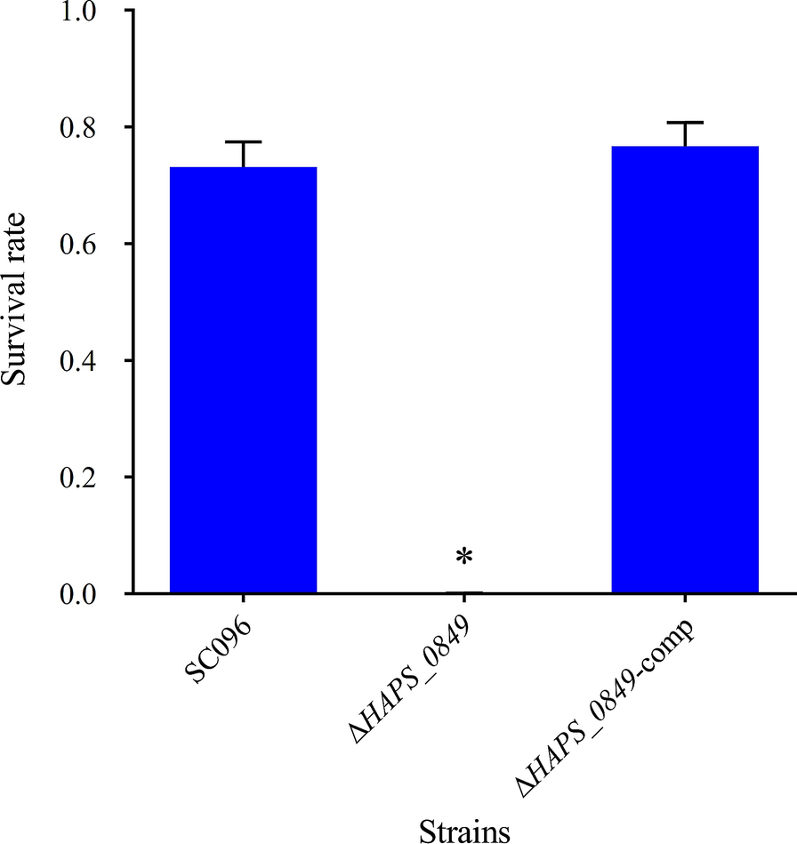 Figure 3