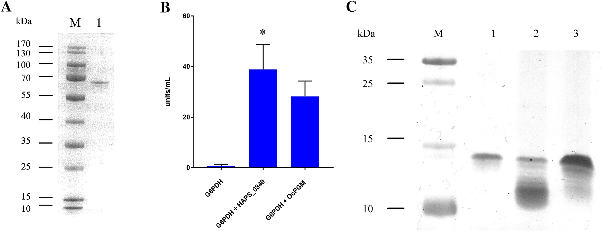 Figure 4