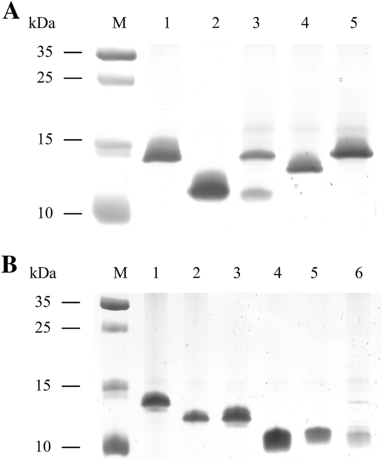 Figure 7