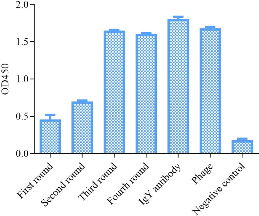 Figure 2