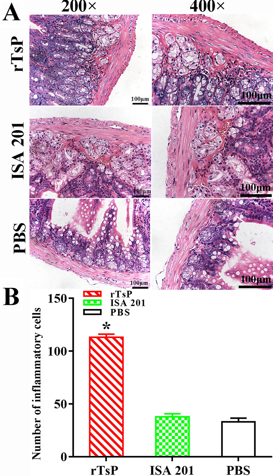 Figure 14