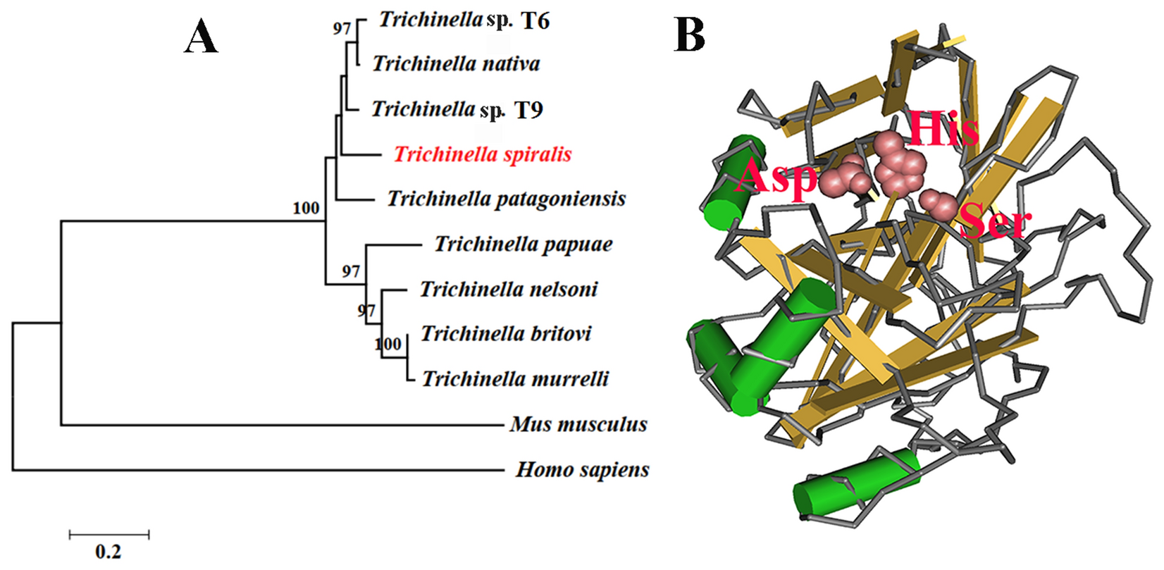 Figure 1