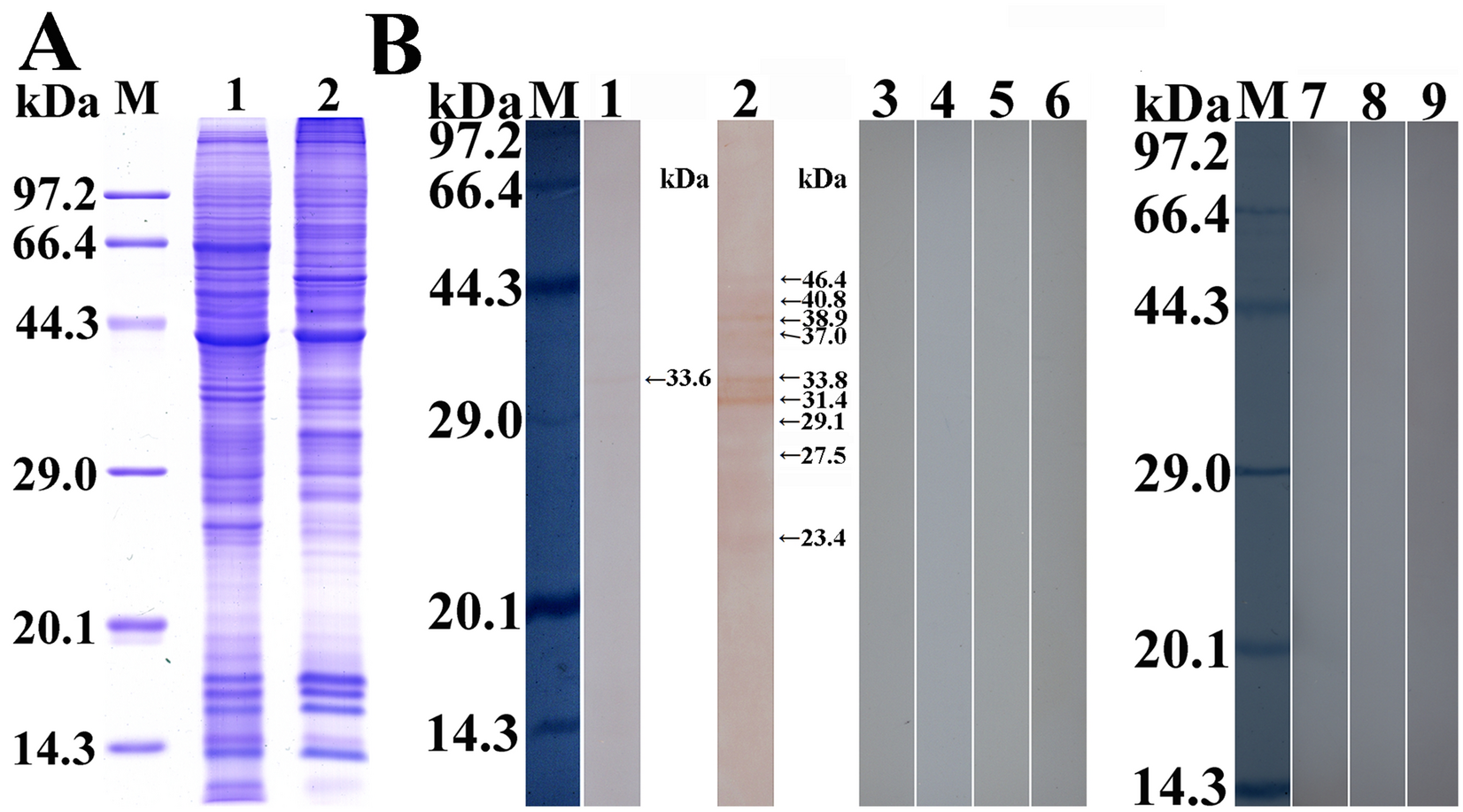 Figure 7