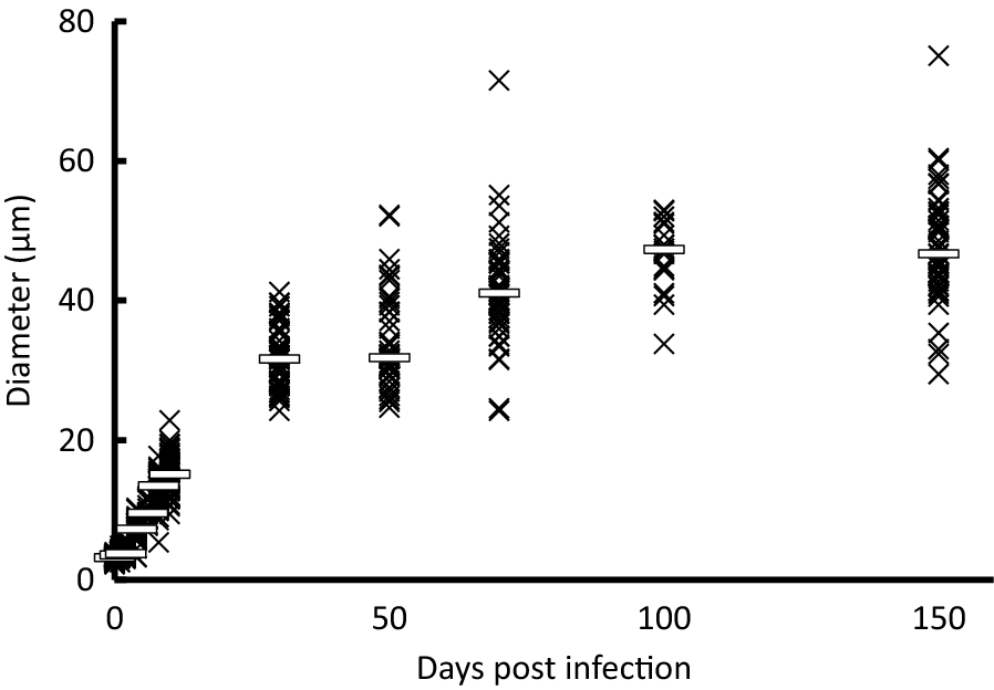 Figure 3