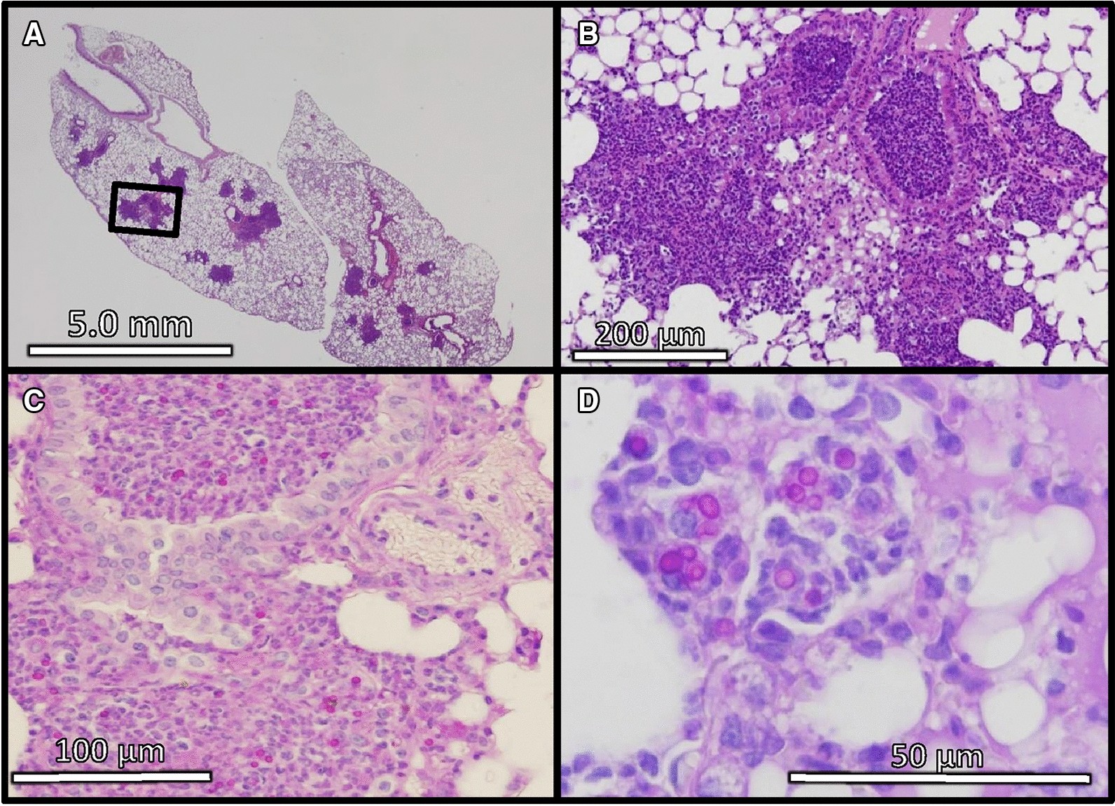 Figure 4