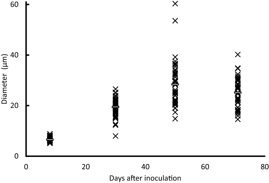 Figure 7