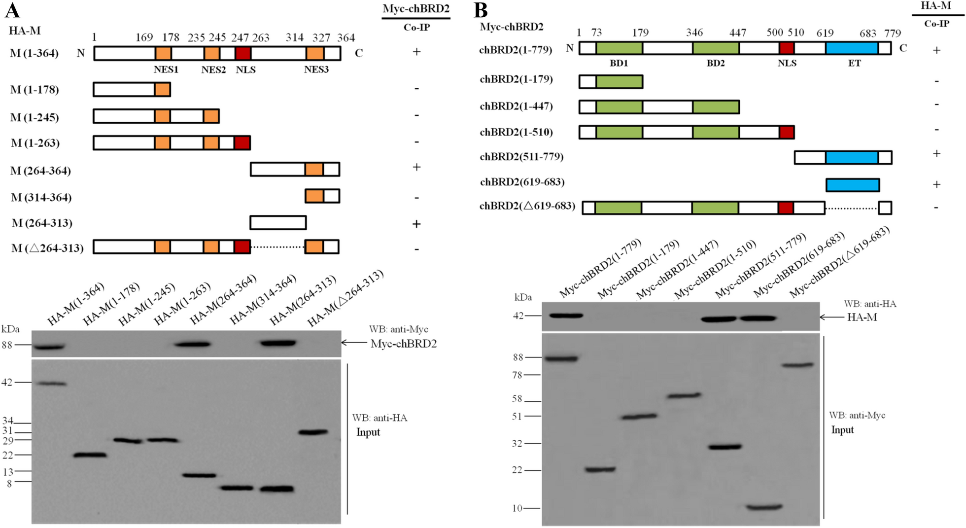 Figure 2