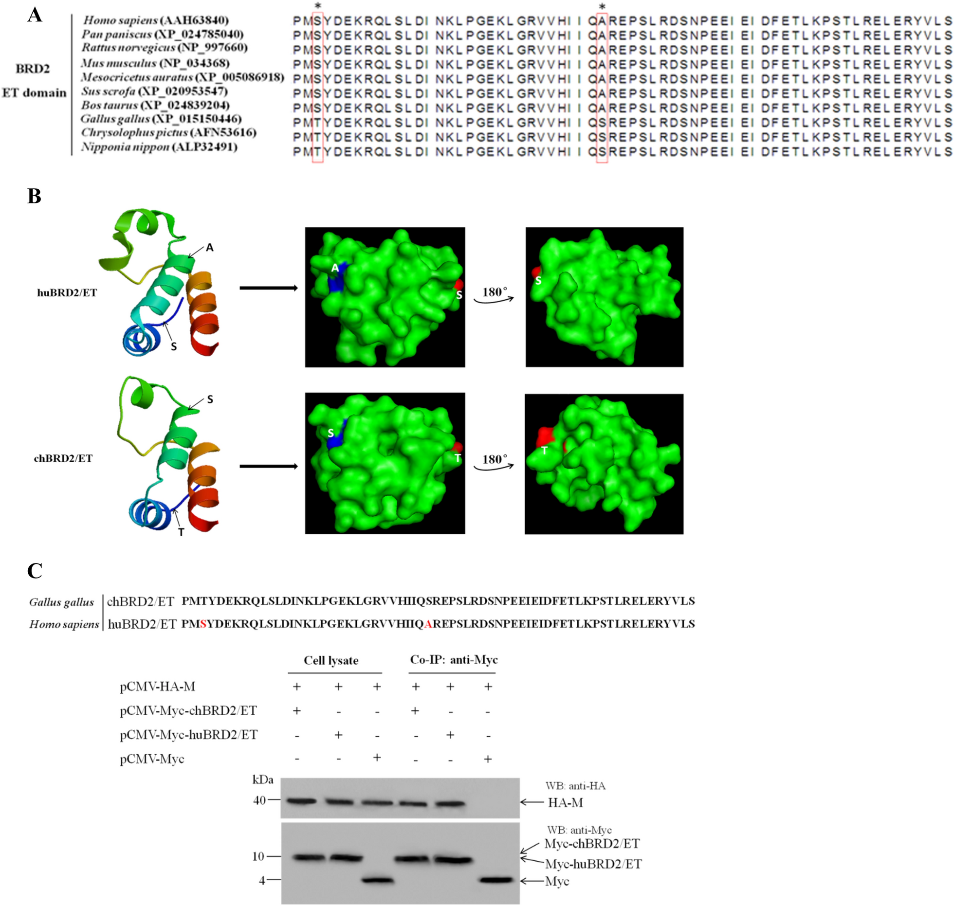 Figure 3