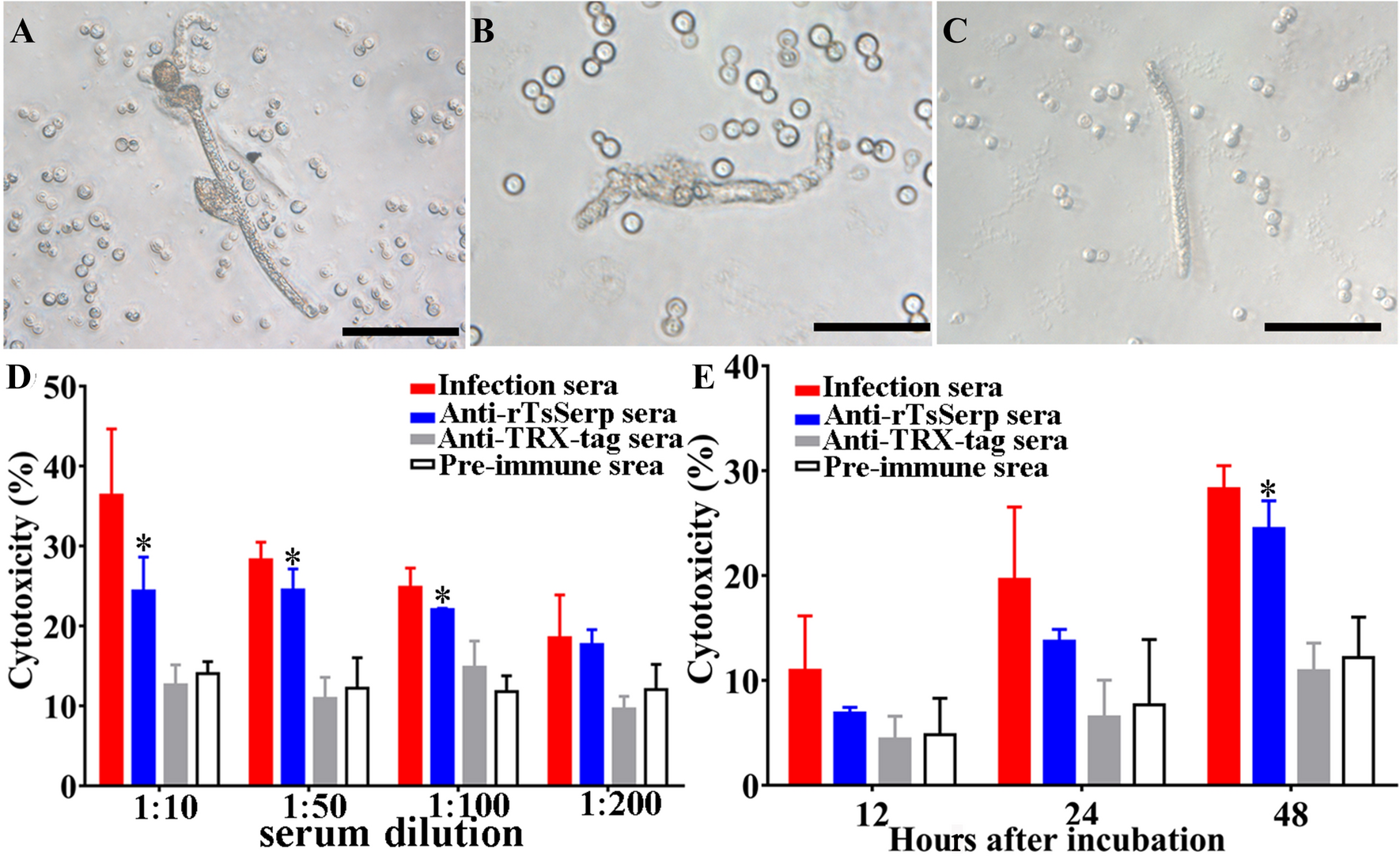 Figure 12