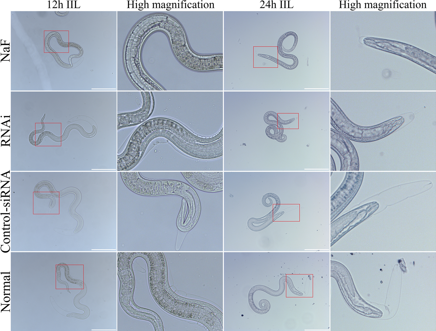 Figure 15