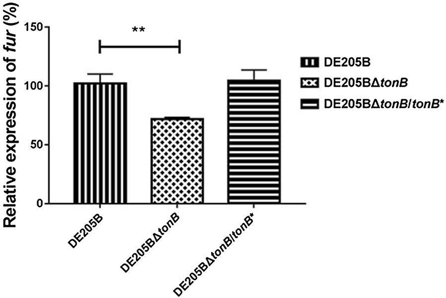 Figure 7