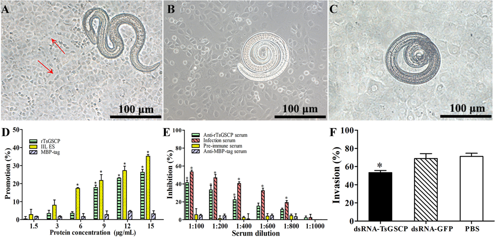 Figure 10