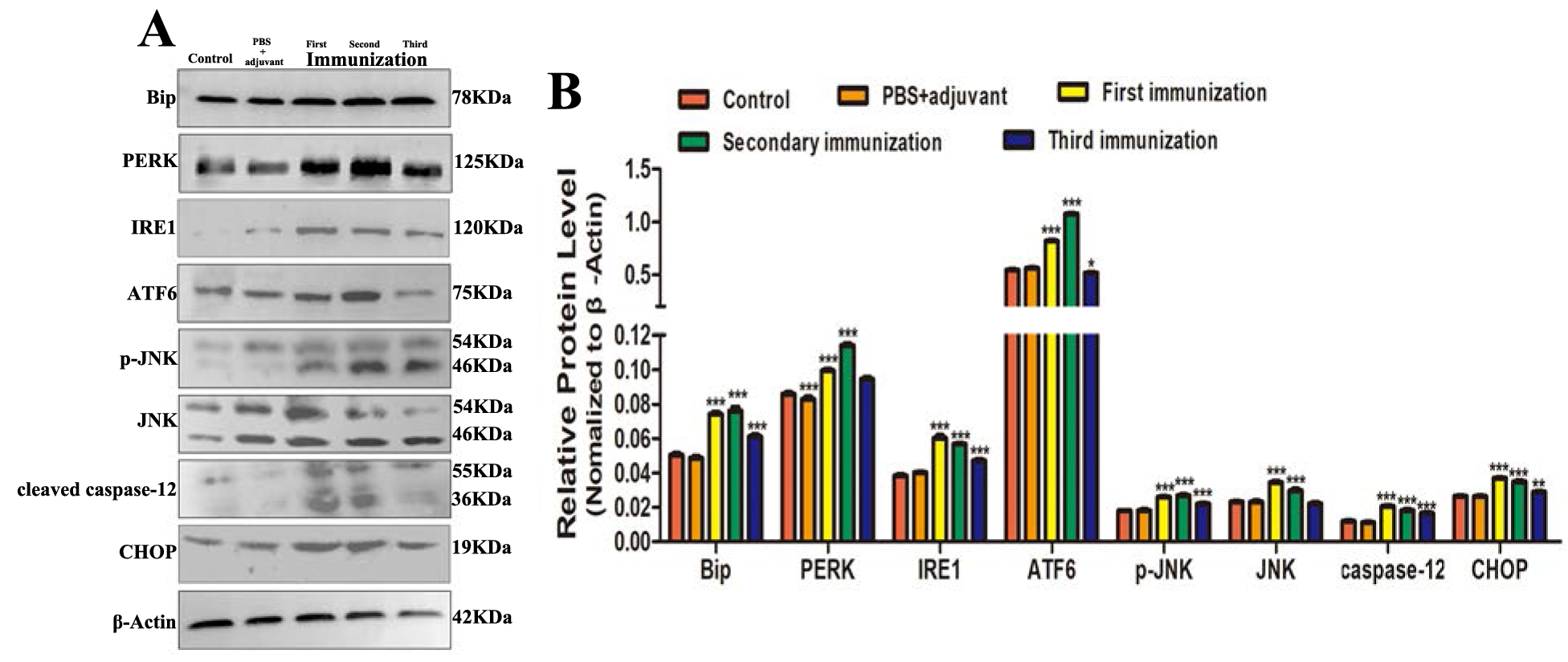 Figure 12