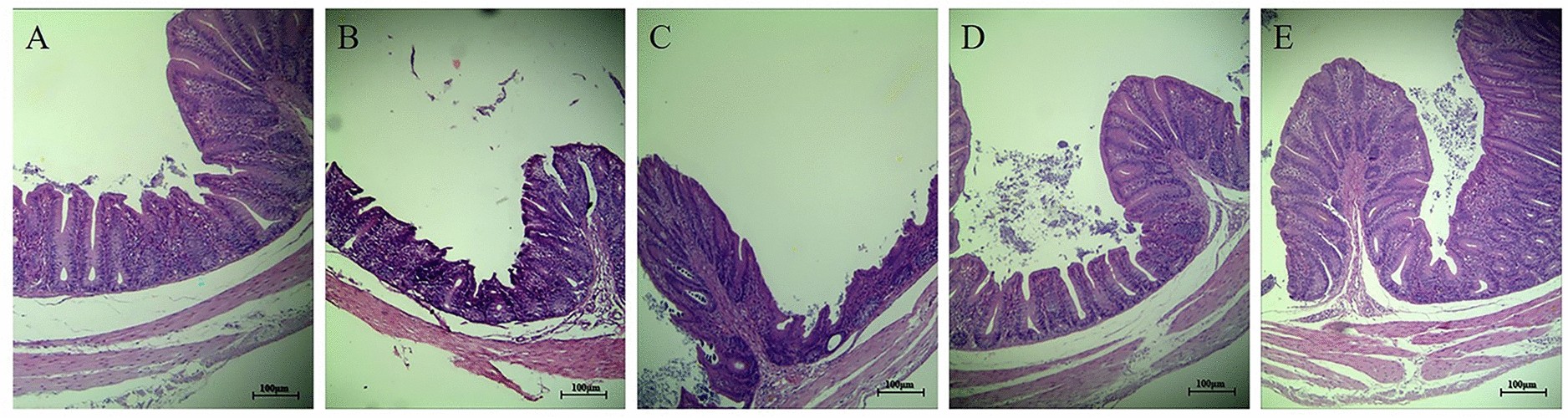 Figure 13