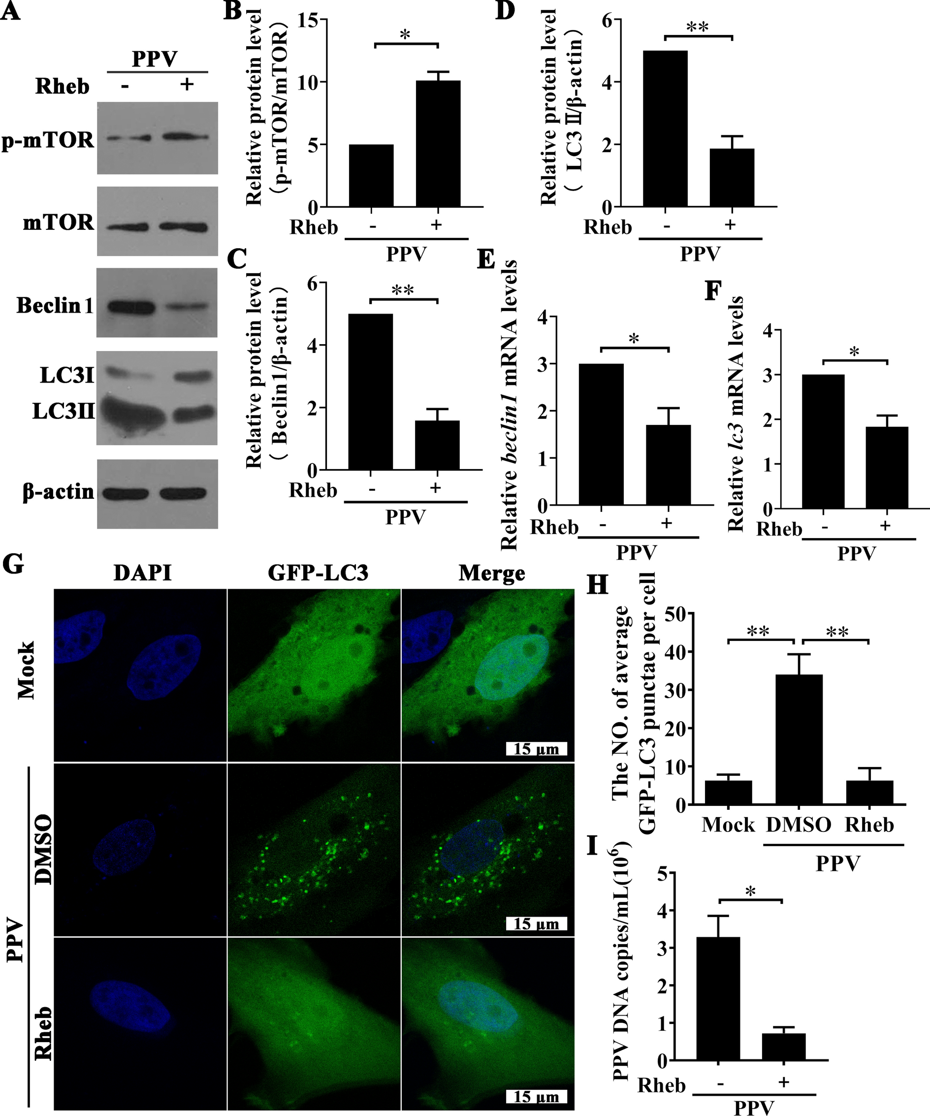 Figure  2