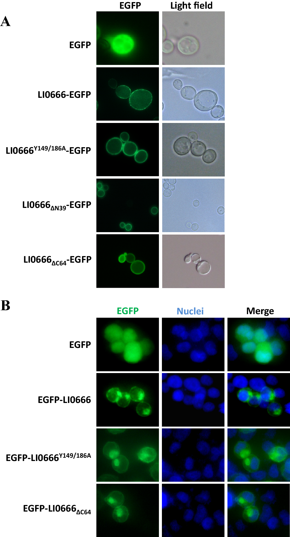 Figure  4