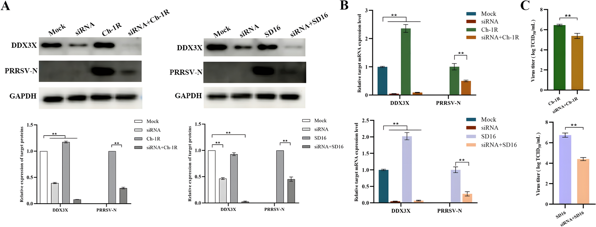 Figure 4