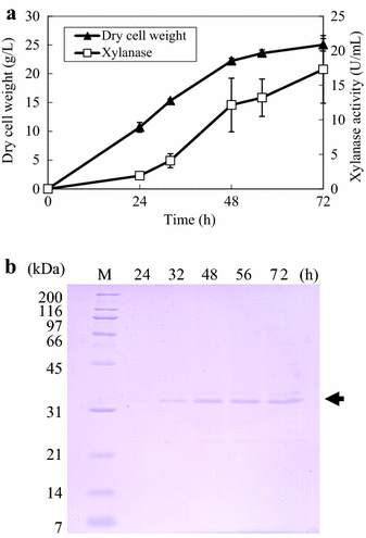 Figure 5