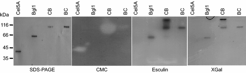 Figure 3