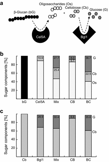 Figure 7