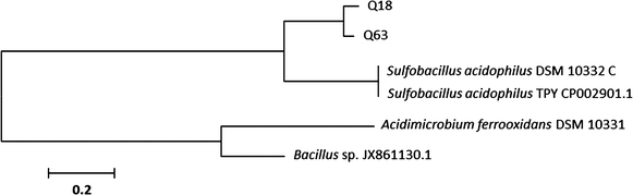 Fig. 5