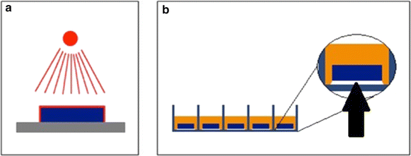 Fig. 2