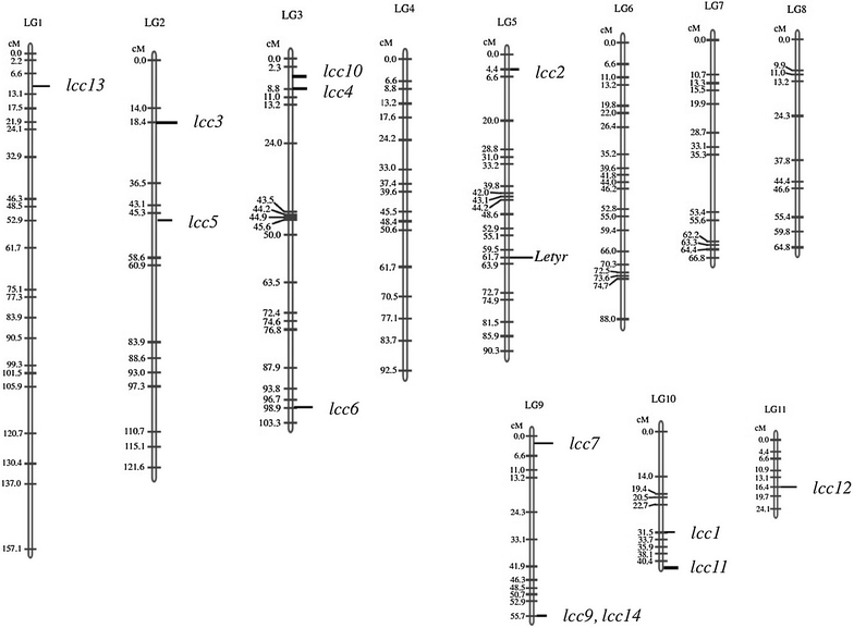 Fig. 3