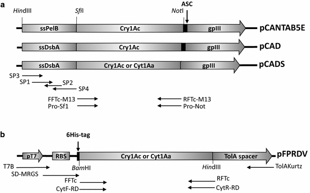 Fig. 1