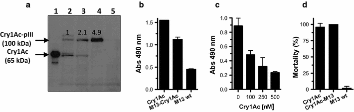 Fig. 2