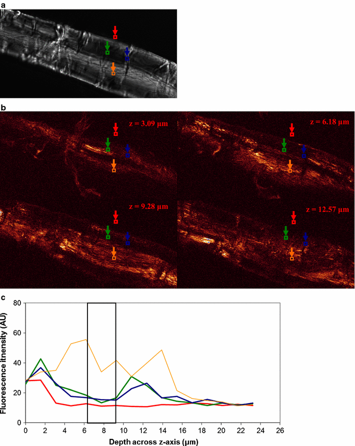 Fig. 4