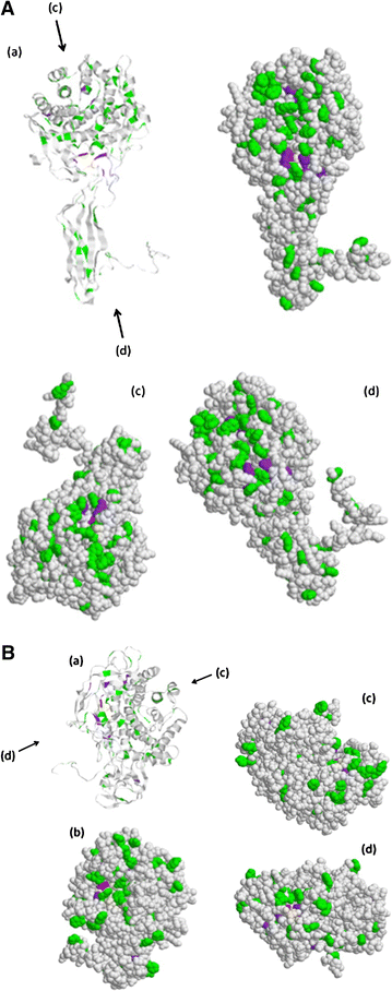 Fig. 4