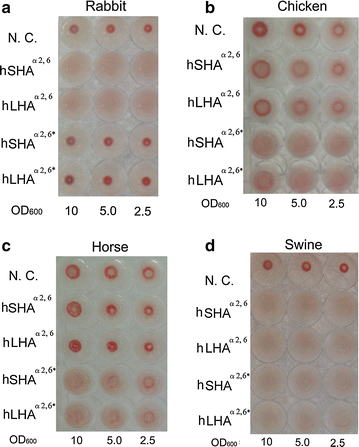 Fig. 3