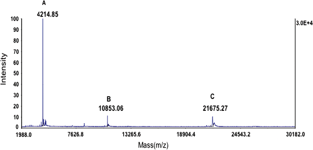 Fig. 2