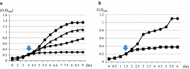 Fig. 4